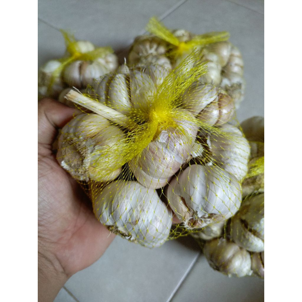 

bawang putih fresh bersih 500gram, TERMURAH