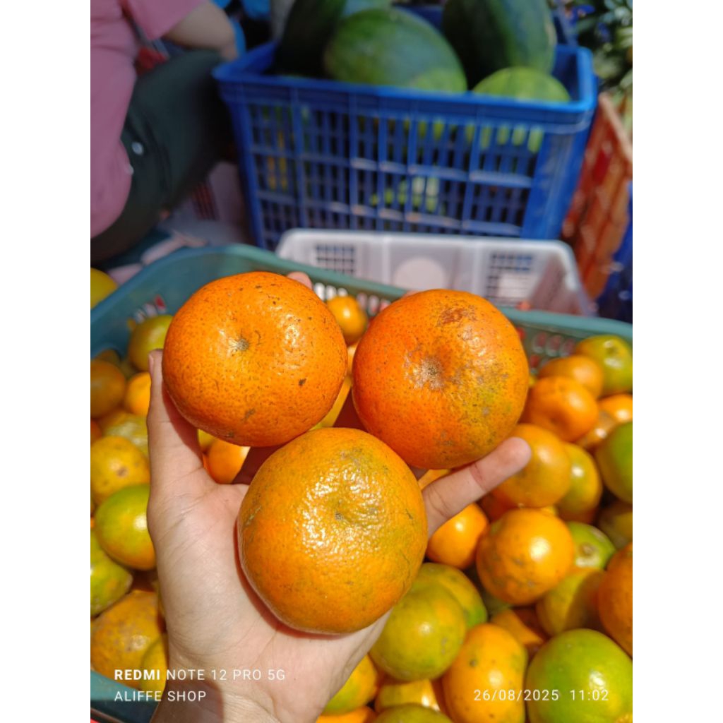 

1kg jeruk slayer asem manis segar