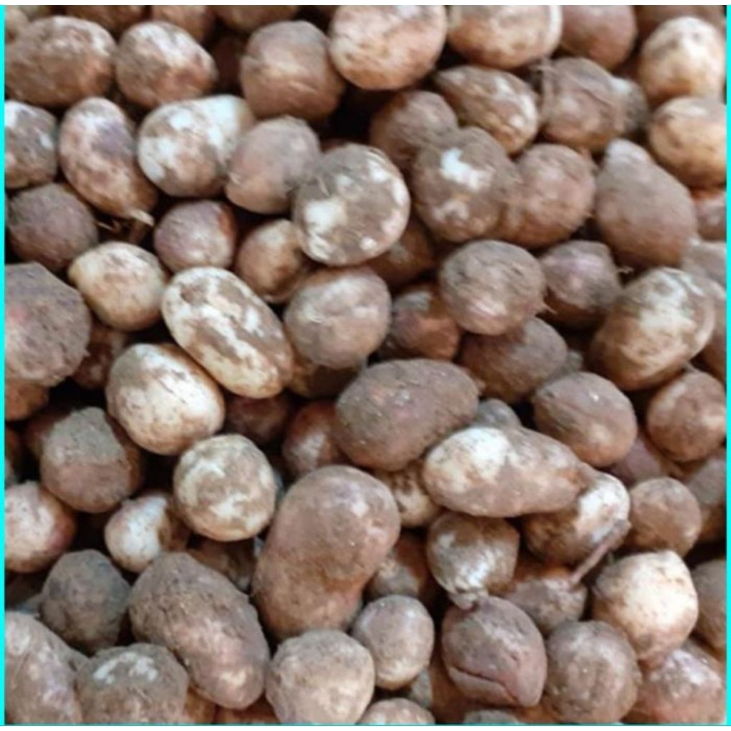 

KACANG POLONG MENTAH 1KG