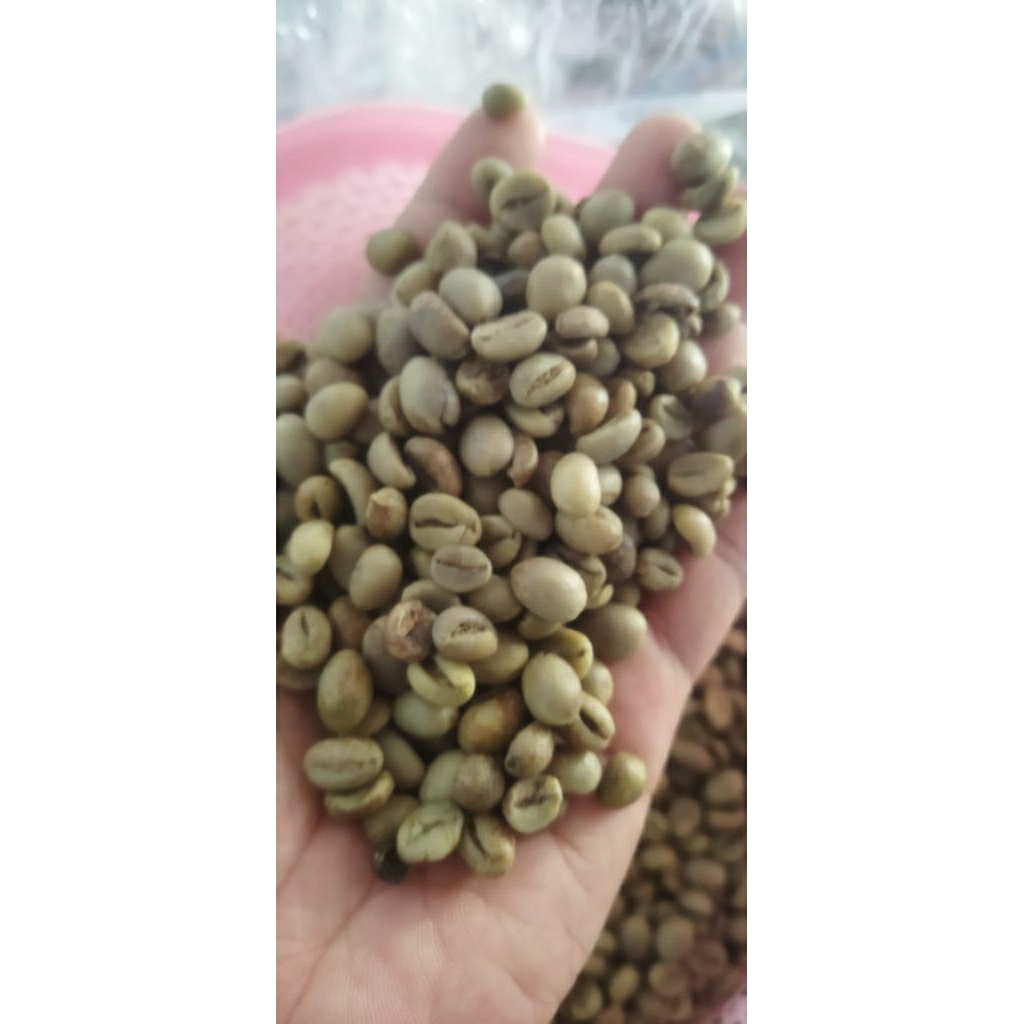 

Green Bean Robusta Kagura Coffee STEVIA (PETIK MERAH 1kg)