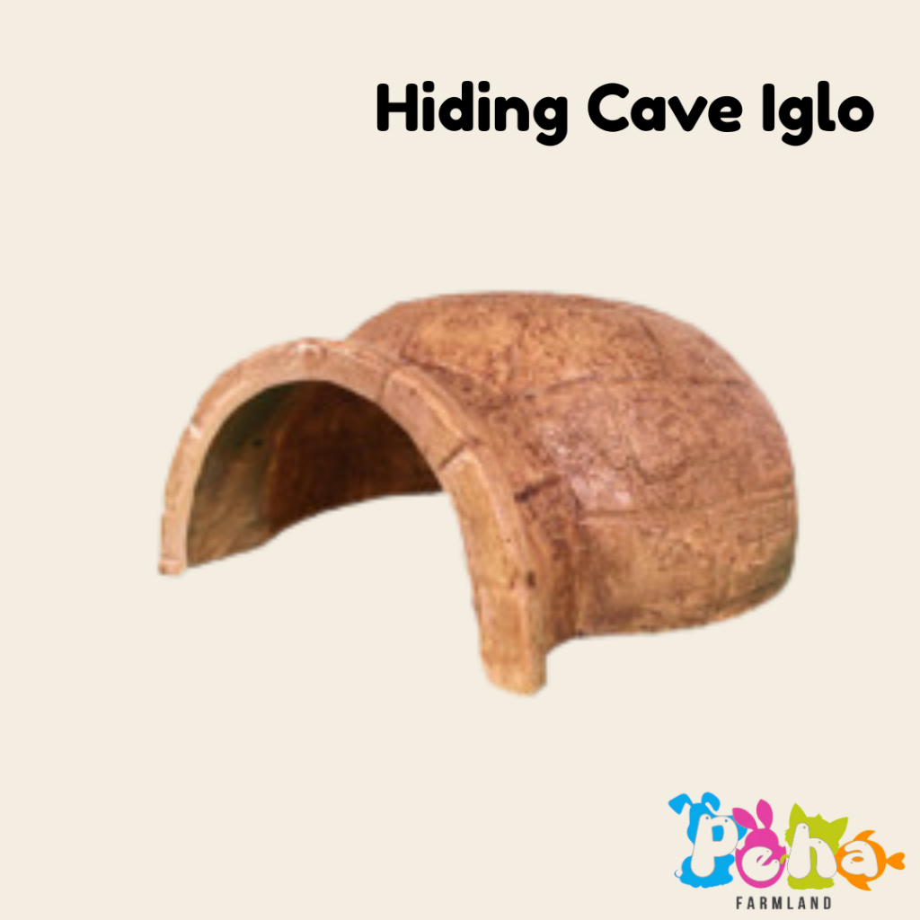Hiding Cave Iglo Tempat Sembunyi Reptil Torto Sulcata Pardalis Istar