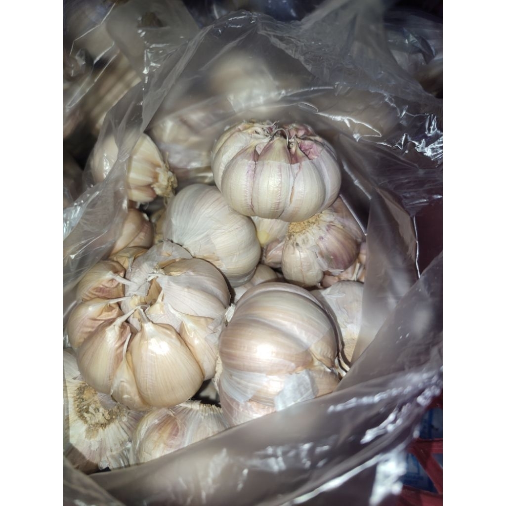 

BAWANG PUTIH SINCO 1KG
