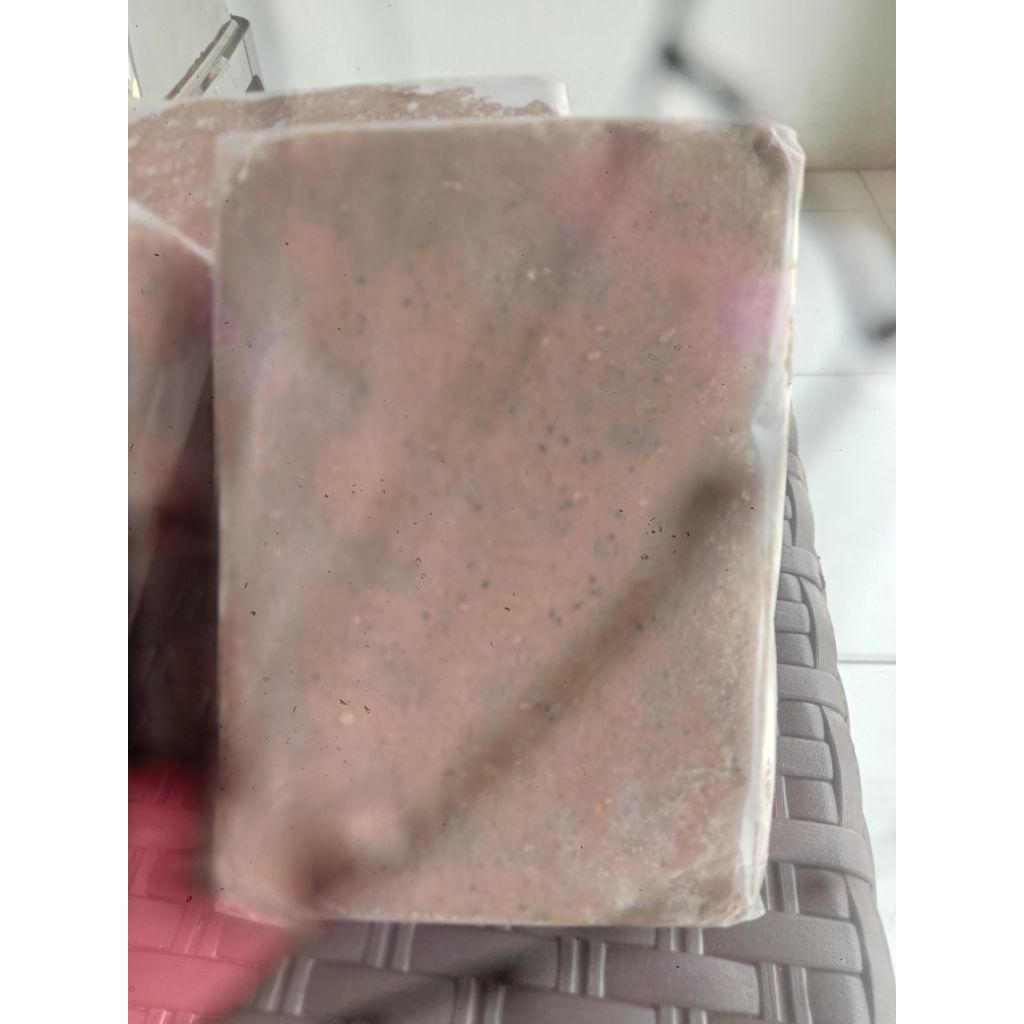 

TERASI Toboali (Nusantara Food)