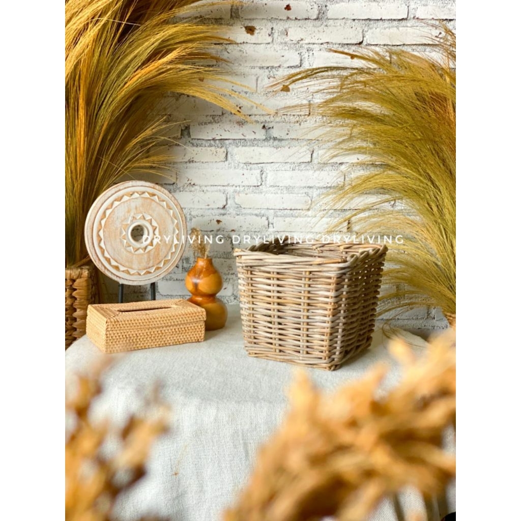 Harga Rattan BOX Terbaru Mei 2026 | BigGo Indonesia