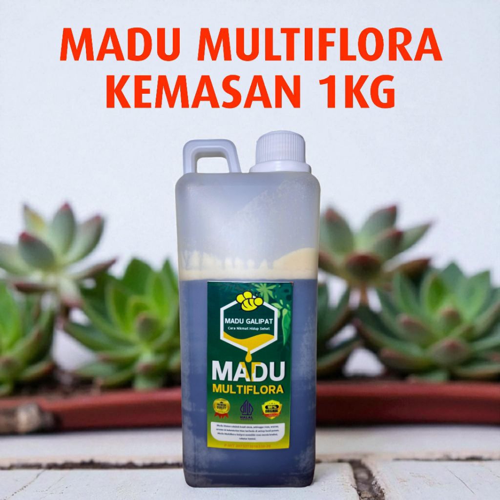 

Madu Galipat Multiflora Kemasan 1kg – Asli Tanpa Campuran