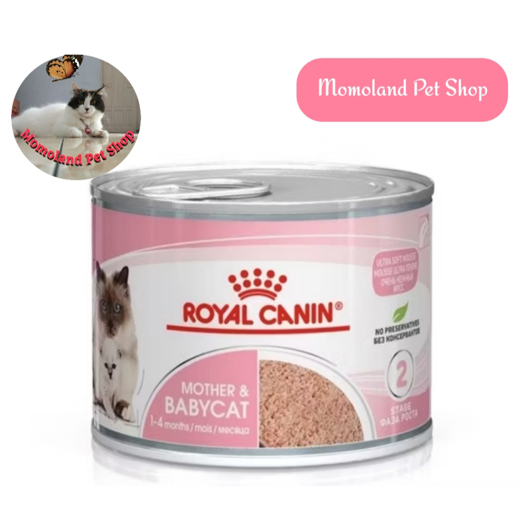 Royal Canin Mother & Baby Wet Food. Makanan Basah Mother & Baby Royal Canin