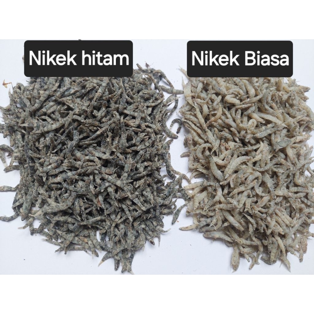 

Nike hitam/penja/duo/nikek hitam/ikan kering sulawesi/ikan khas sulawesi/duang/ikan khas gorontalo/ikan khas sulawesi tengah/ikan kering kecil kecil