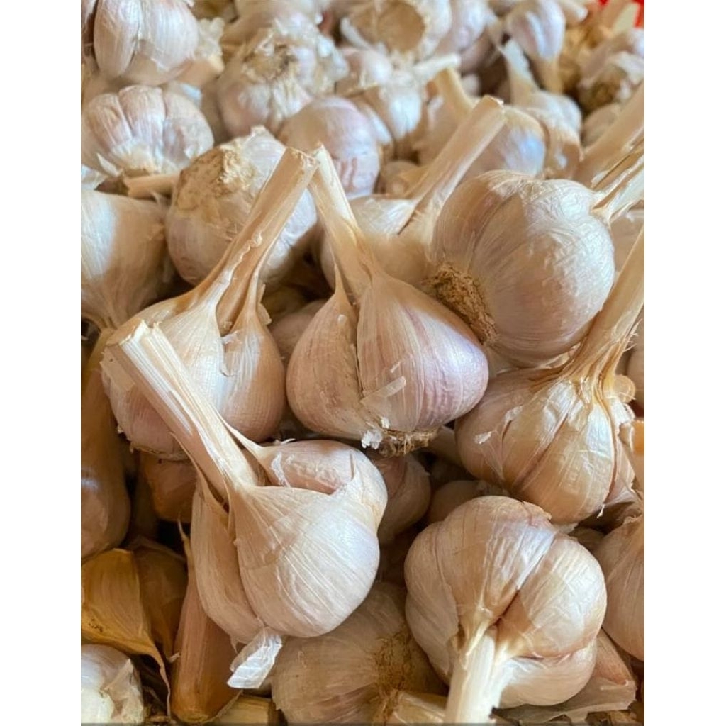 

BAWANG PUTIH 1kg bawang putih kating bumbu dapur bawang