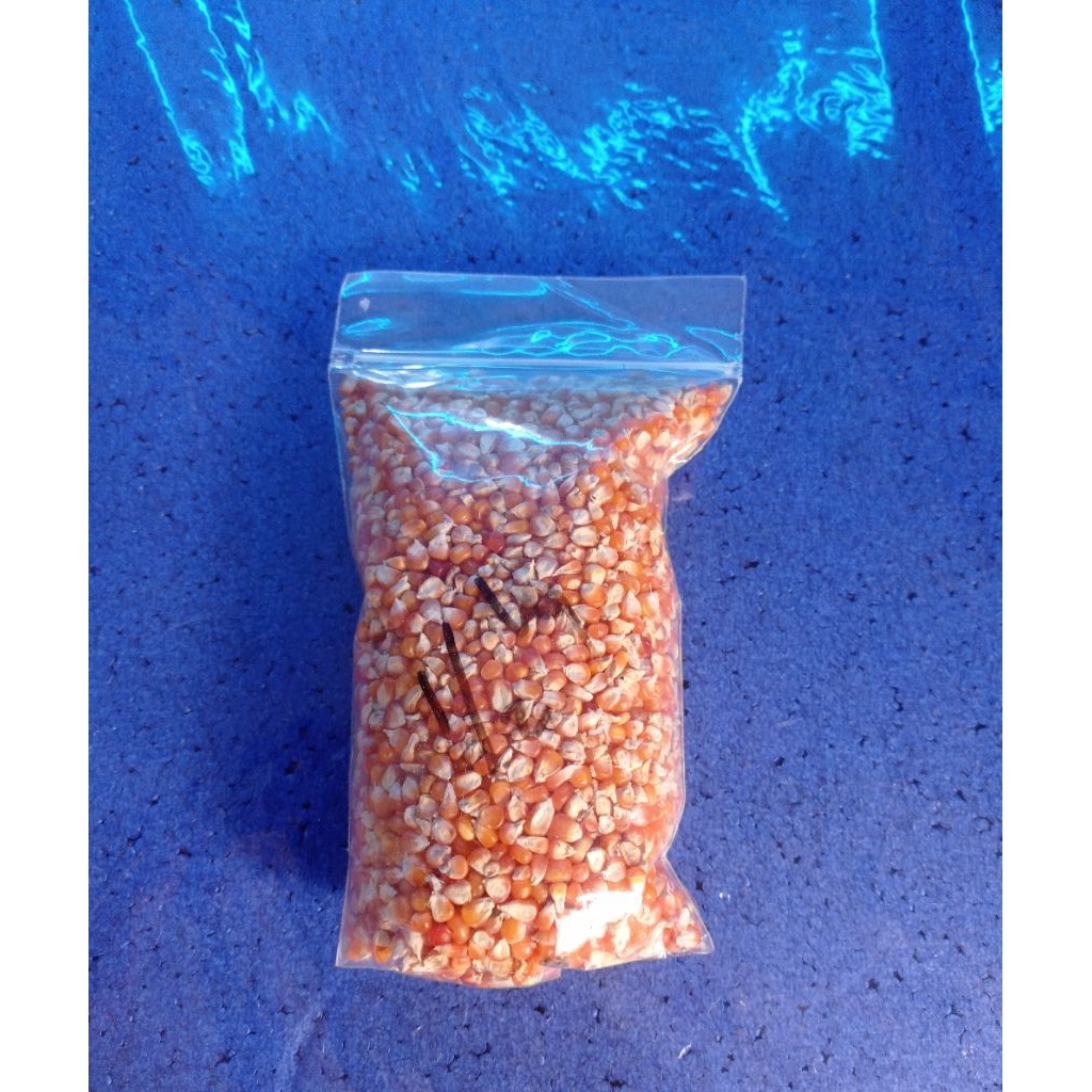 

jagung pakan burung dara dan ternak lain ya BERAT 500GRAM