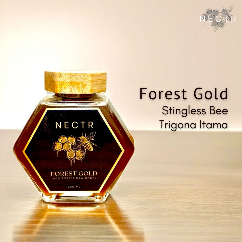 

[NECTR Forest Gold 220ml] Madu Trigona (Stingless Bee) | Kaya Propolis & Antioksidan