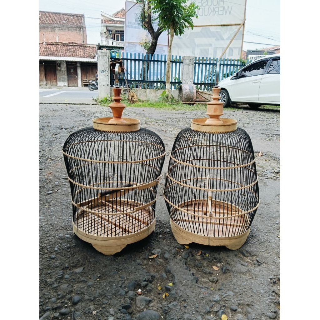 SANGKAR PERKUTUT MINION FULL BAMBU TEBOK LEPAS