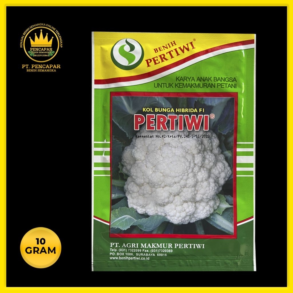 benih Pertiwi KOL BUNGA HIBDRIDA F1