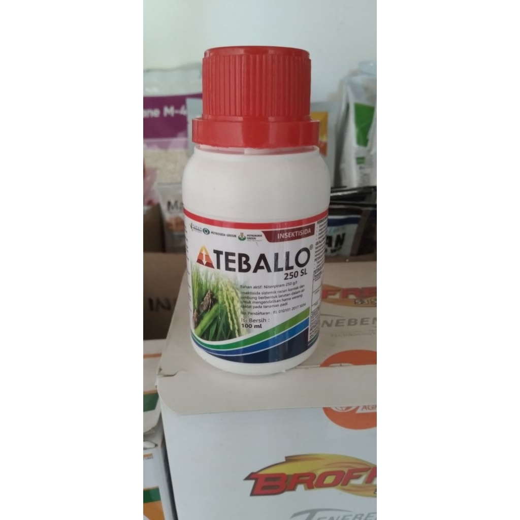 Teballo Insektisida pembasmi wereng ampuh