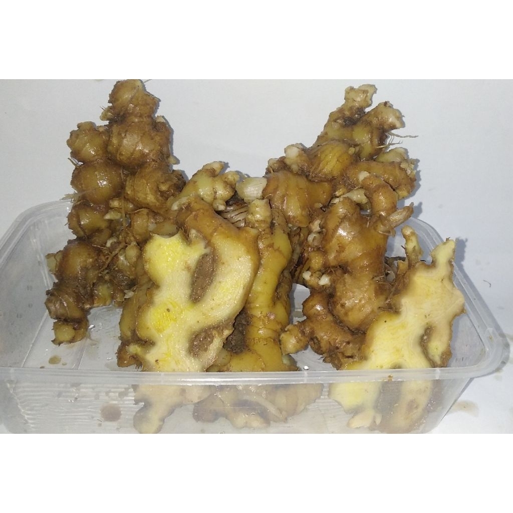 

Jahe Emprit Segar Bersih