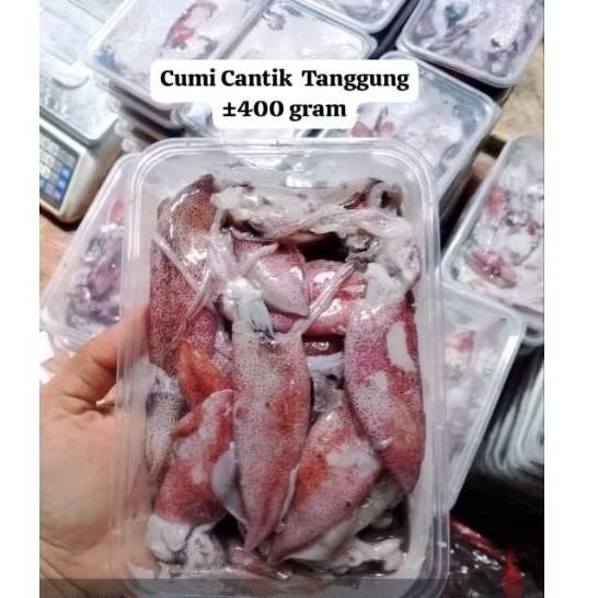 

Cumi Cantik/Cumi Fresh Tanggung ±400gram
