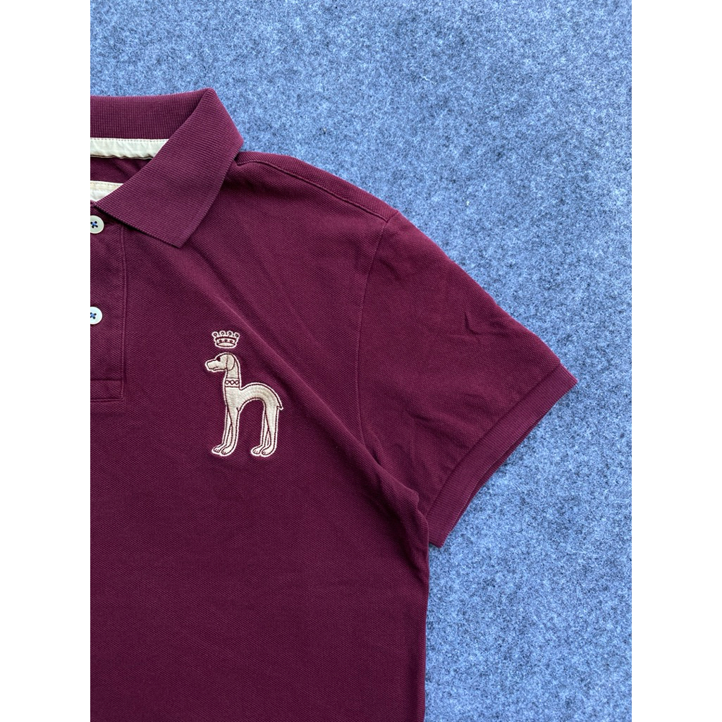 Polo Hazzys Big logo