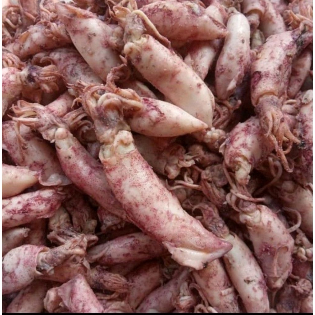 

Cumi asin telur rebus 250 gram premium