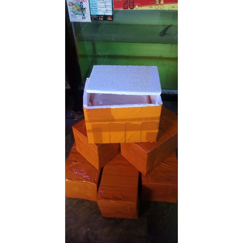 KODE F79O box Maru Ys 45cm 5e serok randem