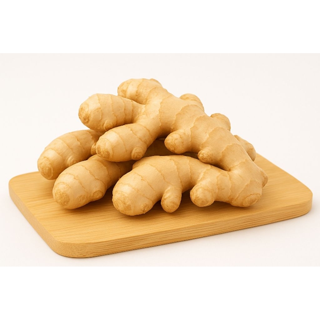 

Jahe Segar – Rempah Hangat Alami untuk Masakan & Kesehatan