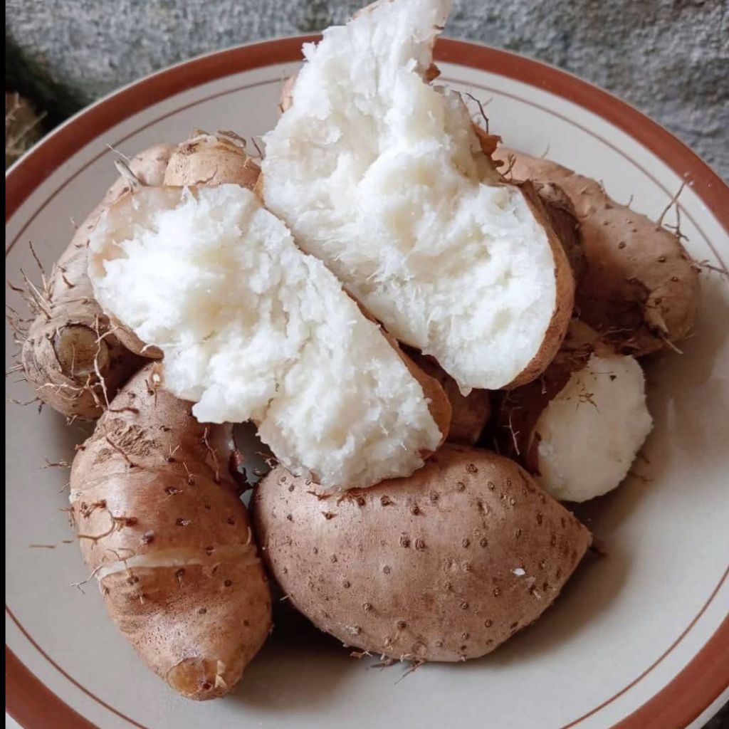 

umbi gembili manis ,pulen 1 kg