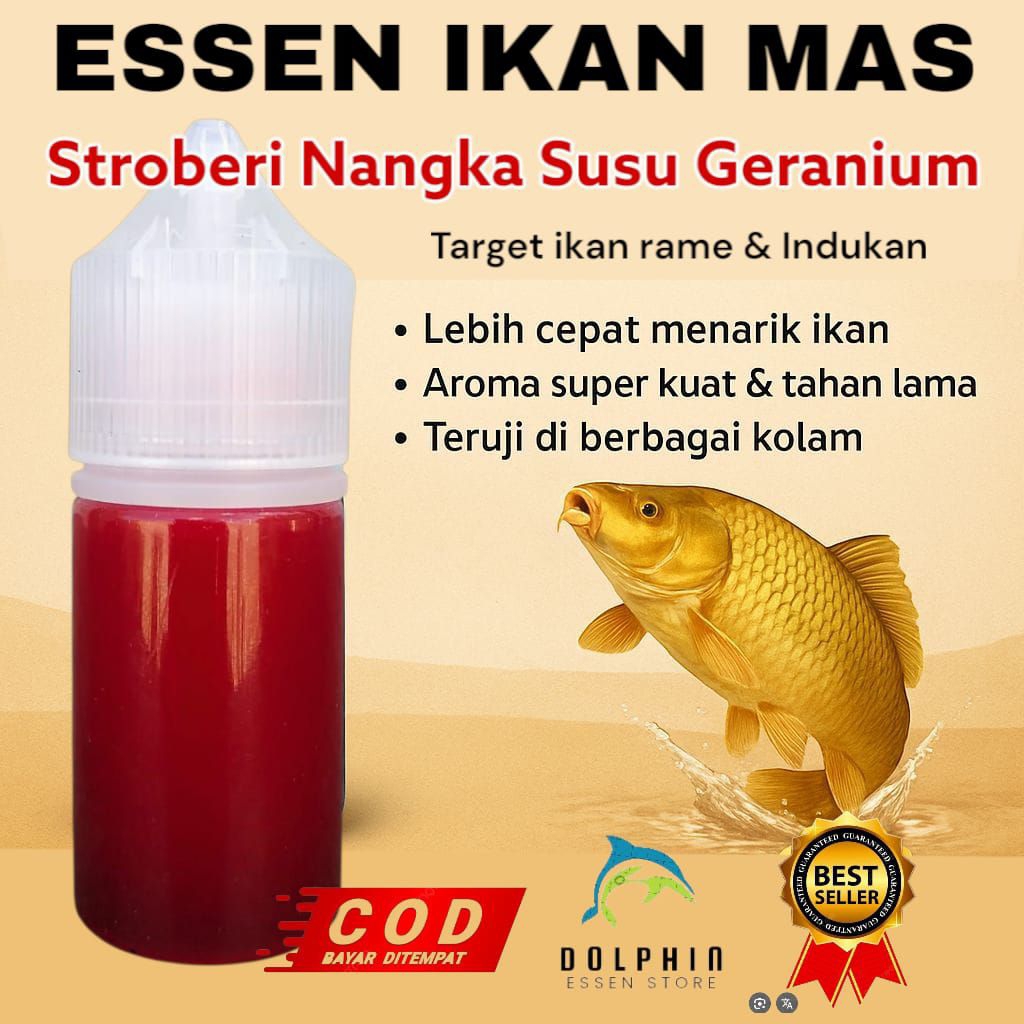 Essen Ikan Mas Aroma Stroberi Nangka Susu Geranium Paling gacor, umpan mancing parajuara