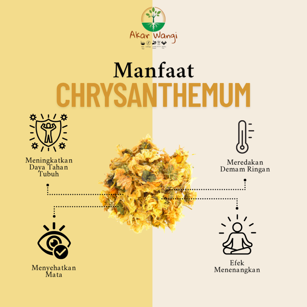 

Chrysanthemum Glass Tube Tea | Akar Wangi Artisan Tisane Herbal Flower Tea | Teh Seduh Bunga Krisan
