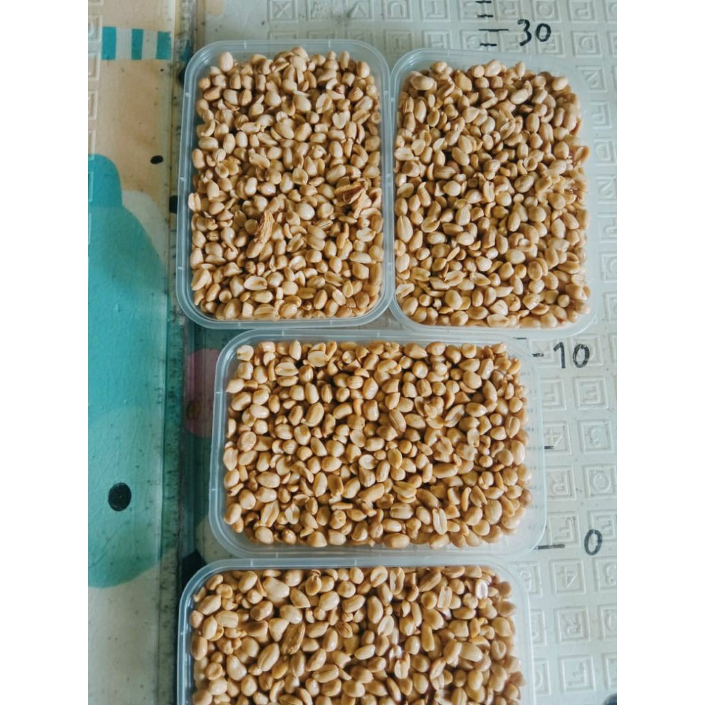 Kacang Bawang  Gurih 1/5kg+Toples