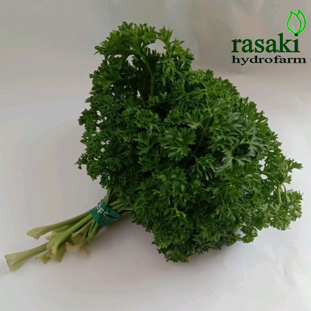 

daun parsley fresh 50gr