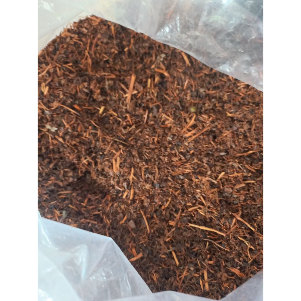 

Teh Tambi Wonosobo Original Tea 5kg