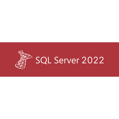SQL SERVER 2022 STANDARD