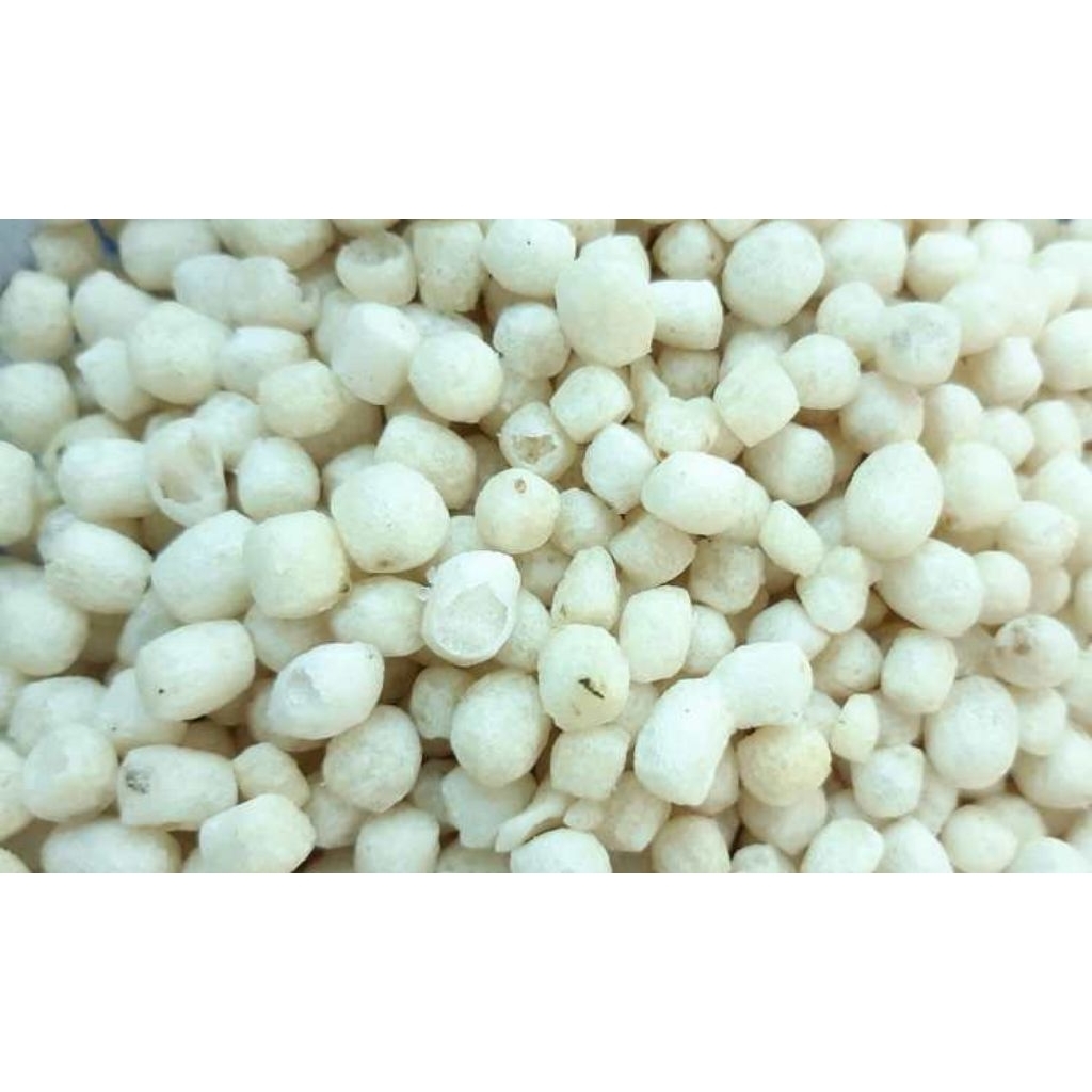 

PILUS KLETUK 1KG [Harum Snack Official] PILUS KLETUK CUSTOME KILOAN CAMILAN CEMILAN MAKANAN