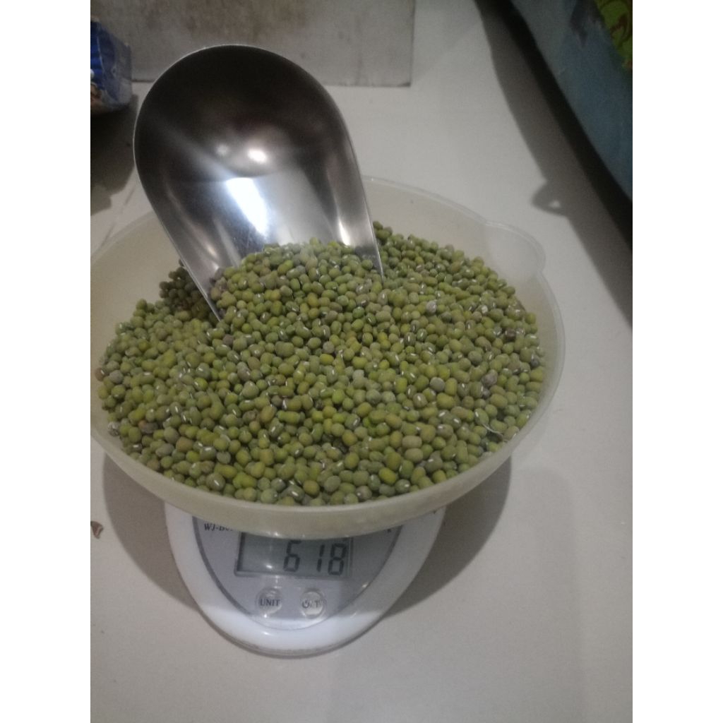 

kacang hijau kualitas super langsung petani