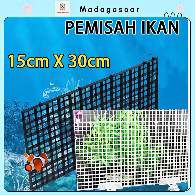 [MADA]Pemisah Akuarium Plastik Sekat Toples Cupang DOP SEKAT KACA DOUBLE Tempel Bisa Dipotong Disusu