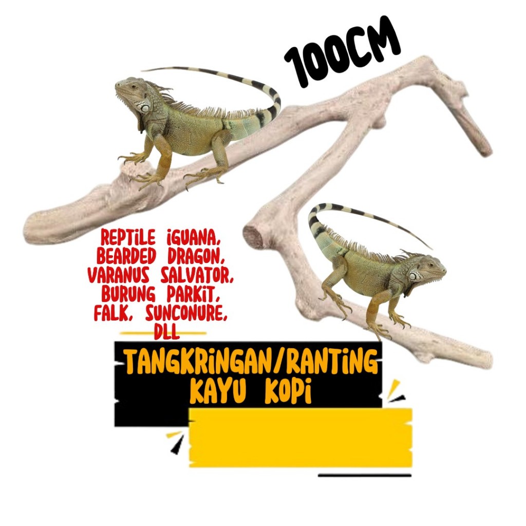 Tangkringan/Ranting Kayu Kopi ukuran 100 CM untuk reptile iguana, bearded dragon, varanus salvator, 