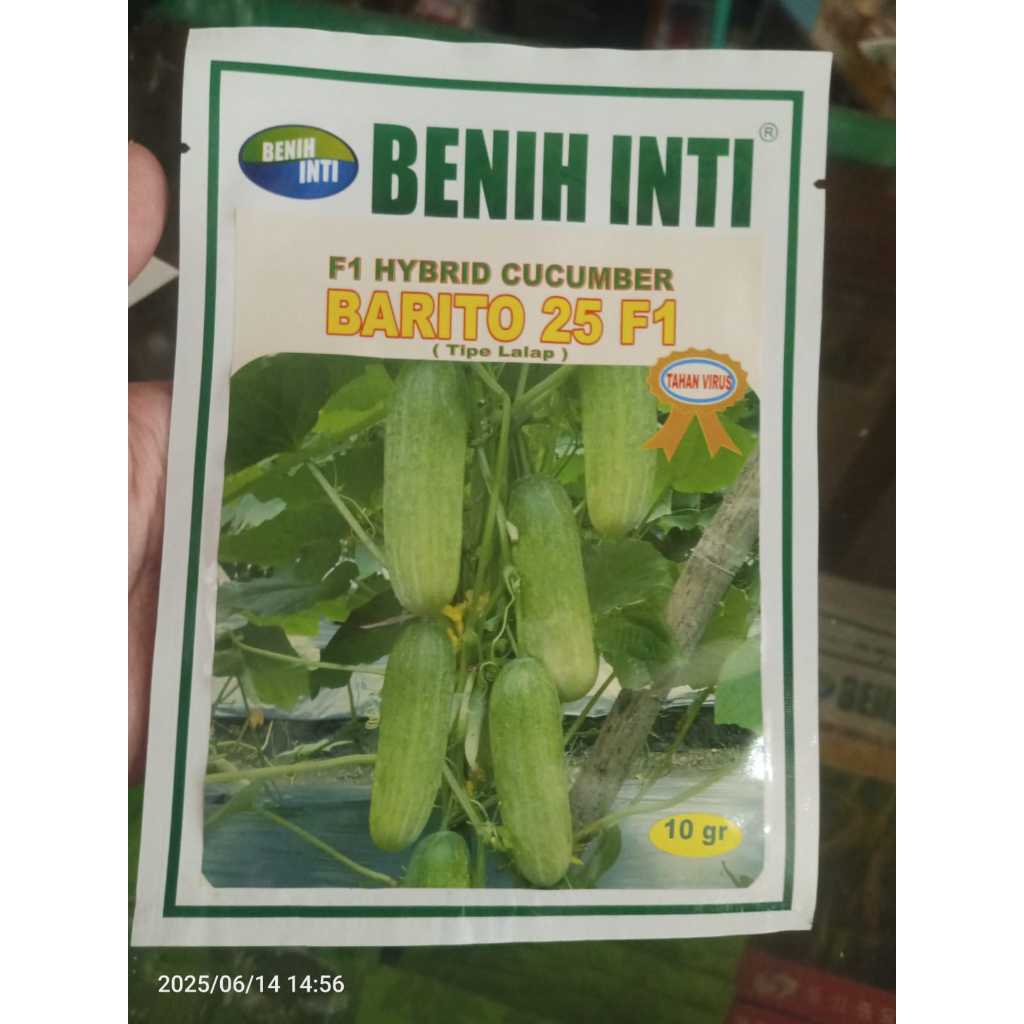 Benih Timun Lalap BARITO 25 F1 Benih timun lalapan Benih Inti 10 gram