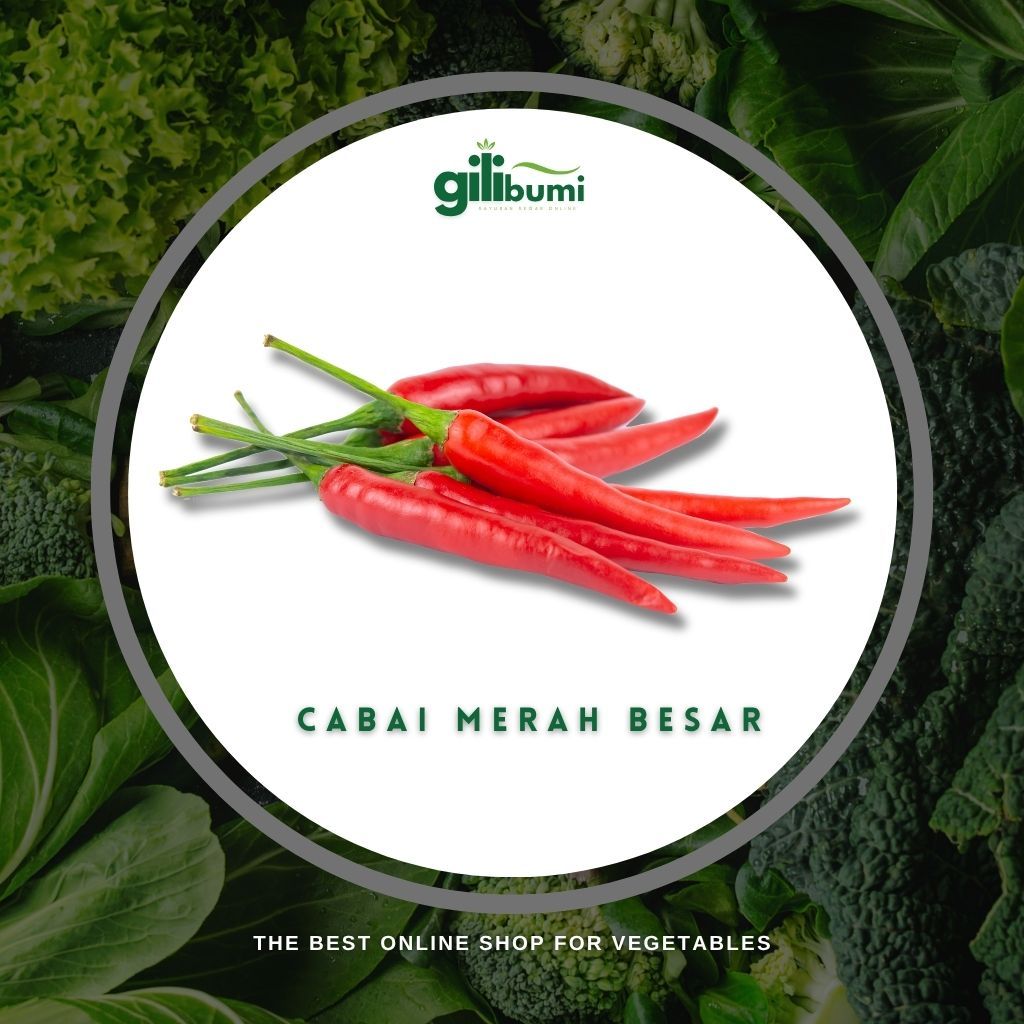 

Cabai Merah Besar (100gr)