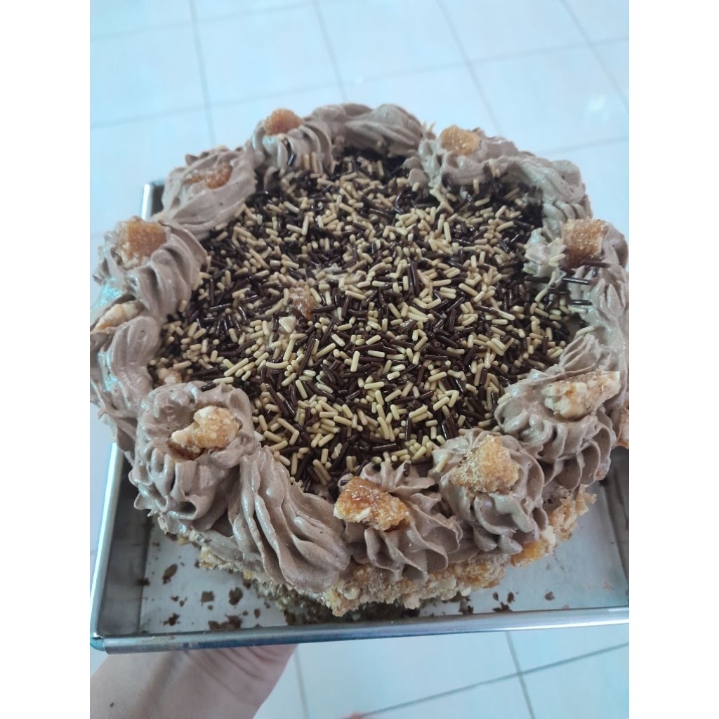 

Mocca Nougat Cake D.16
