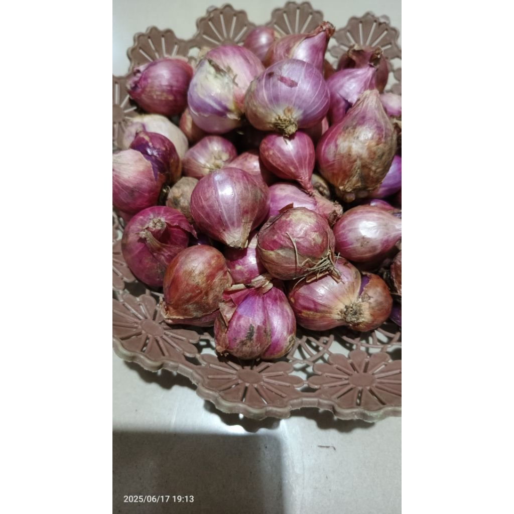 

bawah merah probolinggo |berkomitmen dalam pengemasan