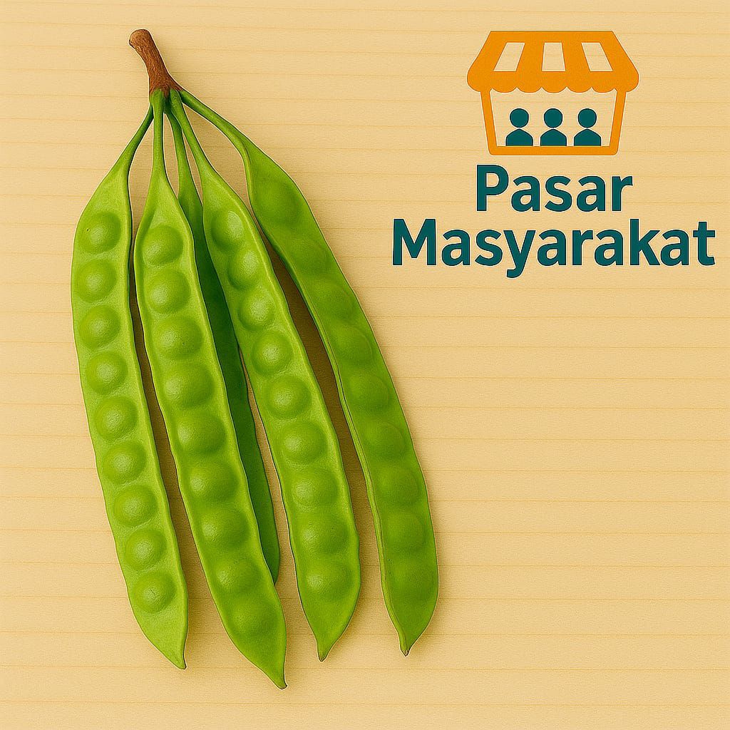 

Pete Petai 1 Papan Segar Pasar.Masyarakat