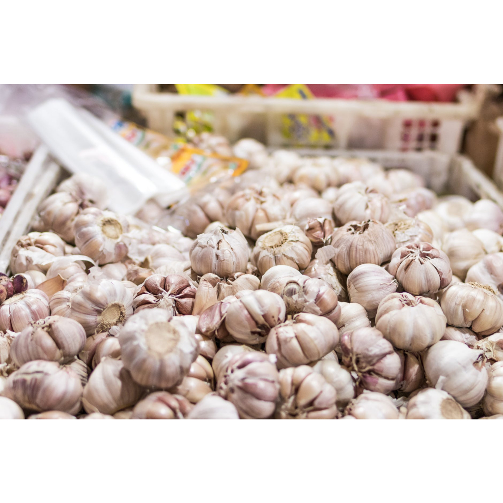 

Bawang Putih Biasa Fresh