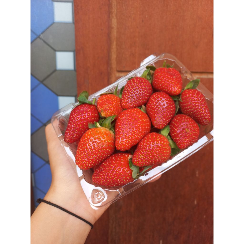 

Strawberry fresh 250gr,buah segar setiap hari,fresh selalu