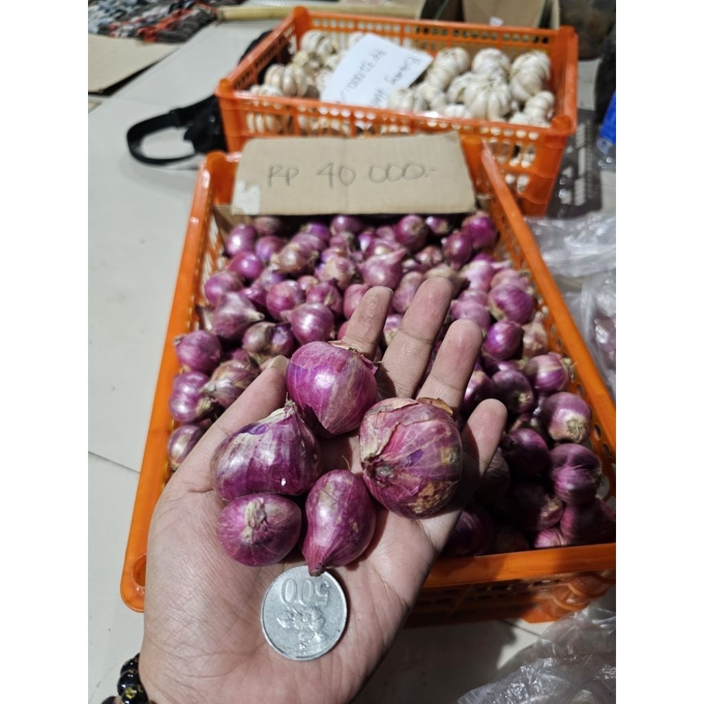 

Bawang Merah Super