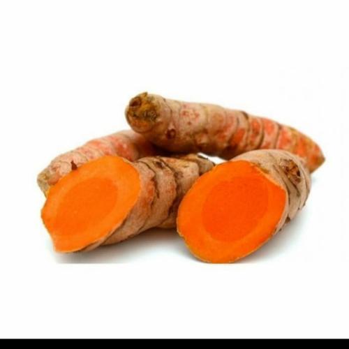 

Kunyit Fresh - Kunyit Segar Premium - Kunyit Murah Terdekat
