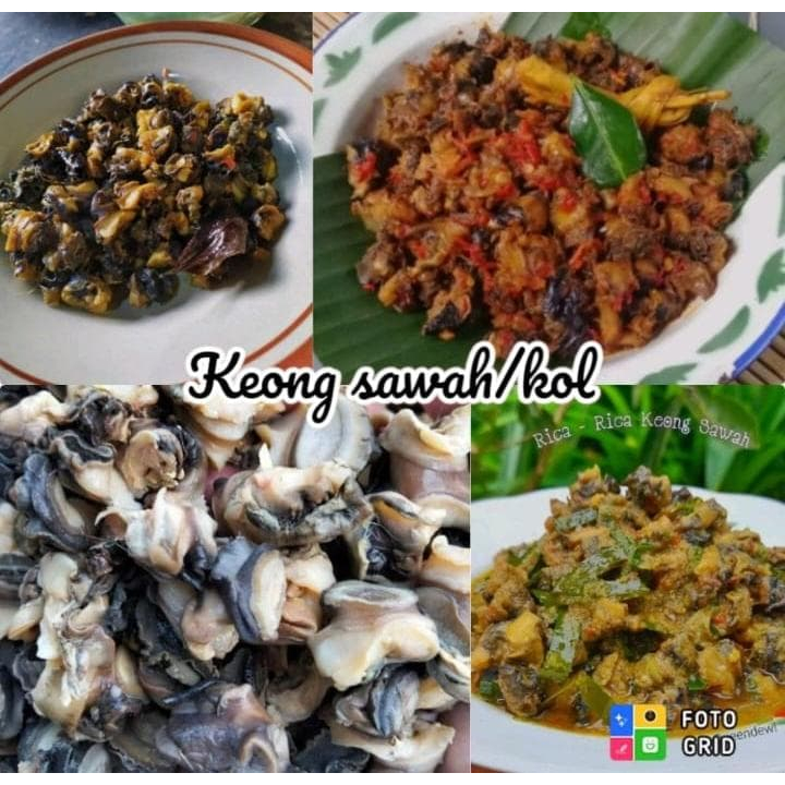 

kol sawah kupas 1 kg