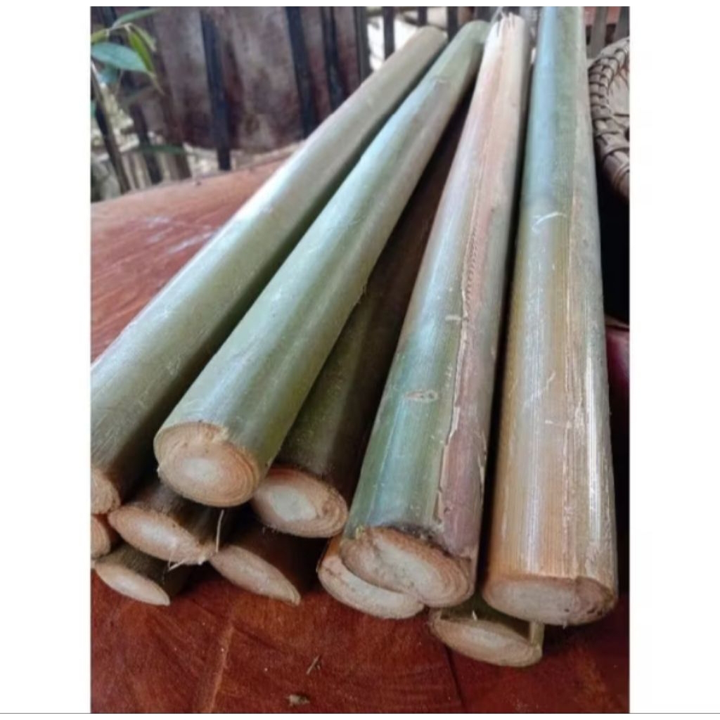 

jual batang honje atau kecombrang obat herbal 1kg