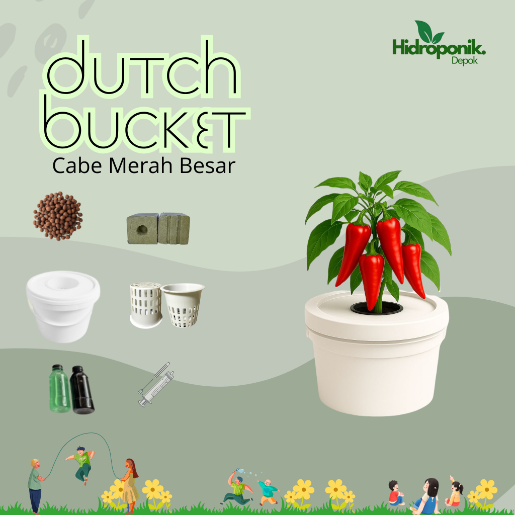 Paket Lengkap Hidroponik System Dutch BUcket Tanaman CabaiMerah Besar