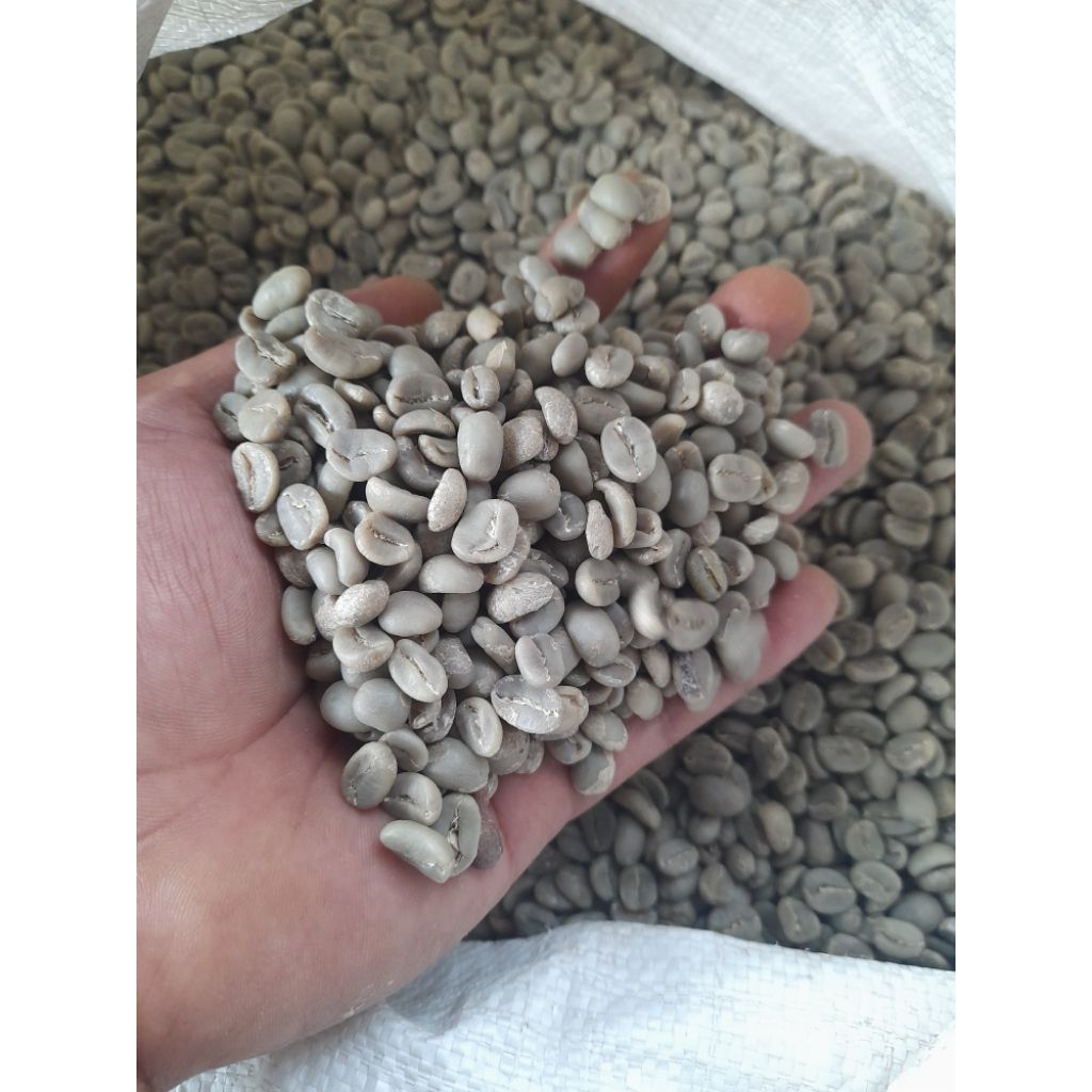 

full wash arabika kerinci