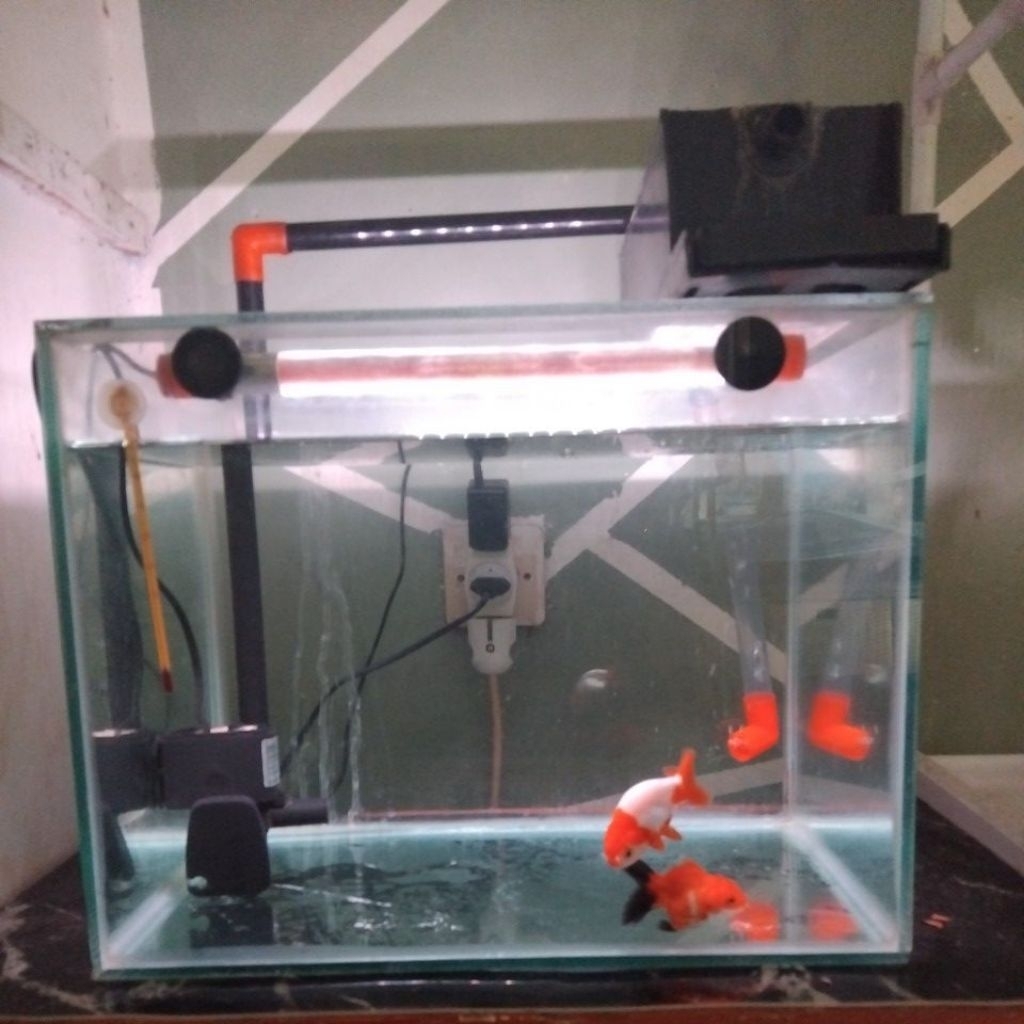aquarium fullset