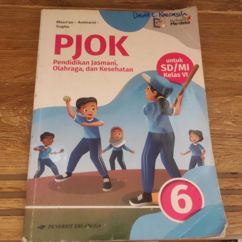 buku pjok kelas 6 sd