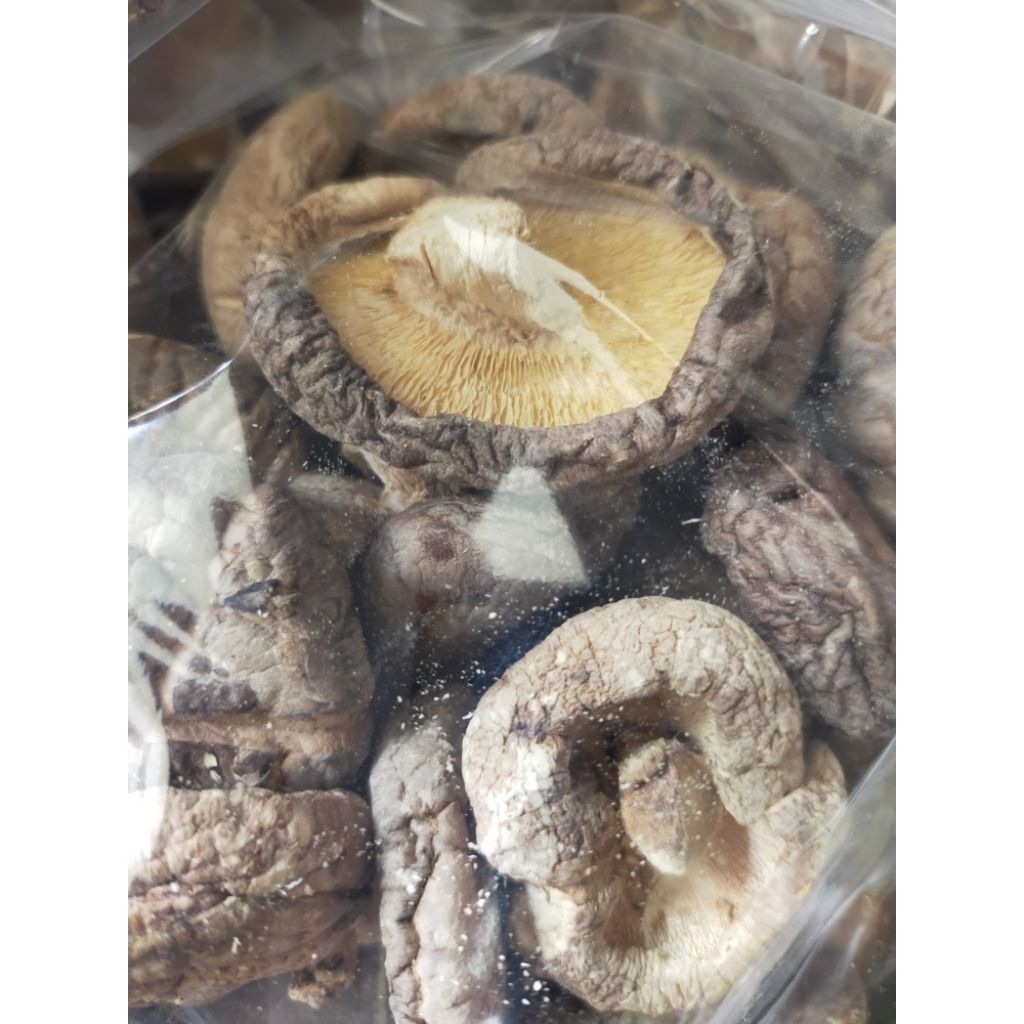 

jamur kering shitake 50gr/100gr